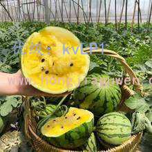 Ļ