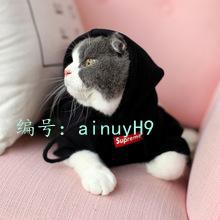 ˲