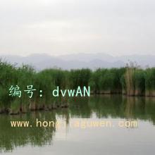 û