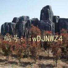 û